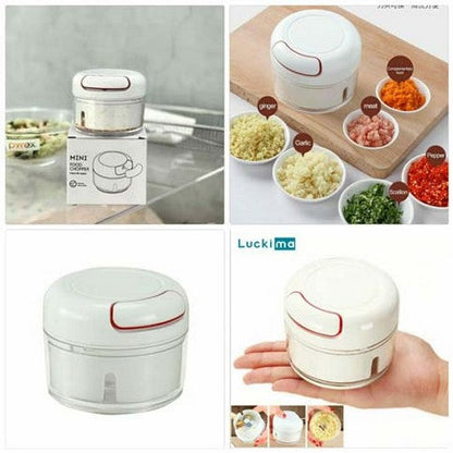 Mini Food Chopper